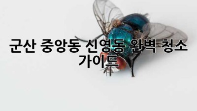 군산 중앙동 신영동 완벽 청소 가이드
